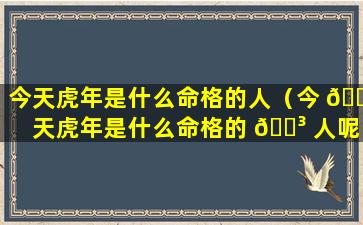 今天虎年是什么命格的人（今 🐵 天虎年是什么命格的 🌳 人呢）